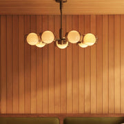 Douglas Chandelier