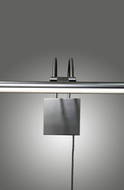 Lumina Brass Picture Light