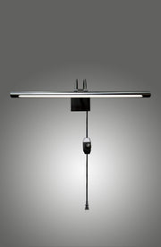 Lumina Brass Picture Light